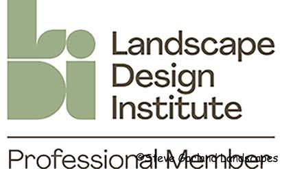 LDI logo